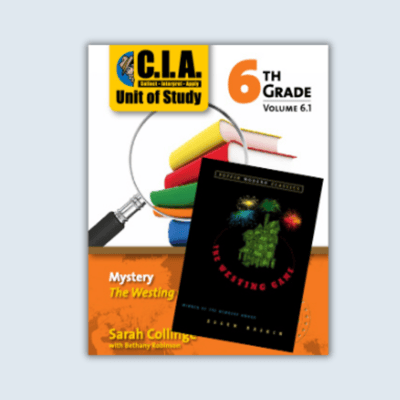 6.1 RA TS B 6.1 RA TS B