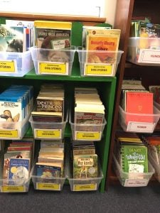 Organizational bins for books in classroom